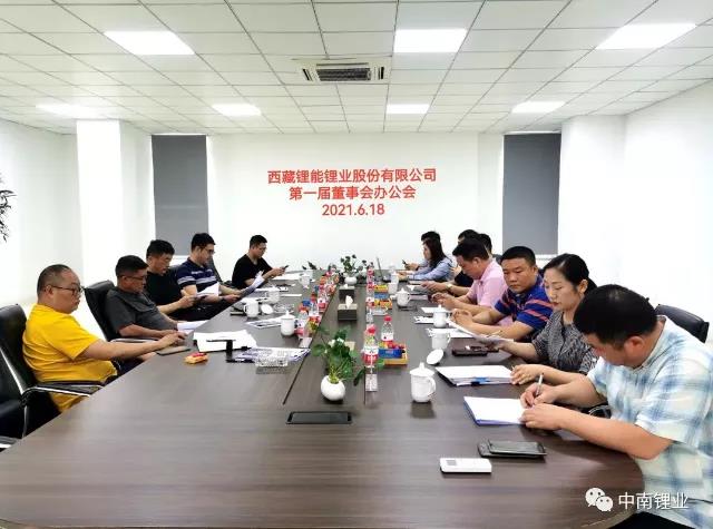 中南锂业拟设碳酸锂合资公司 计划明年底建成1万吨年产能(图1)