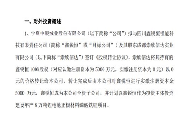 斥资20亿！纺织巨头跨界布局锂电池(图1)