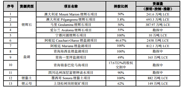 锂云母火了！赣锋锂业布局详解！(图1)
