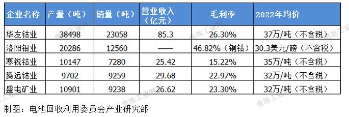 2022年中国金属钴市场研究报告(图5)