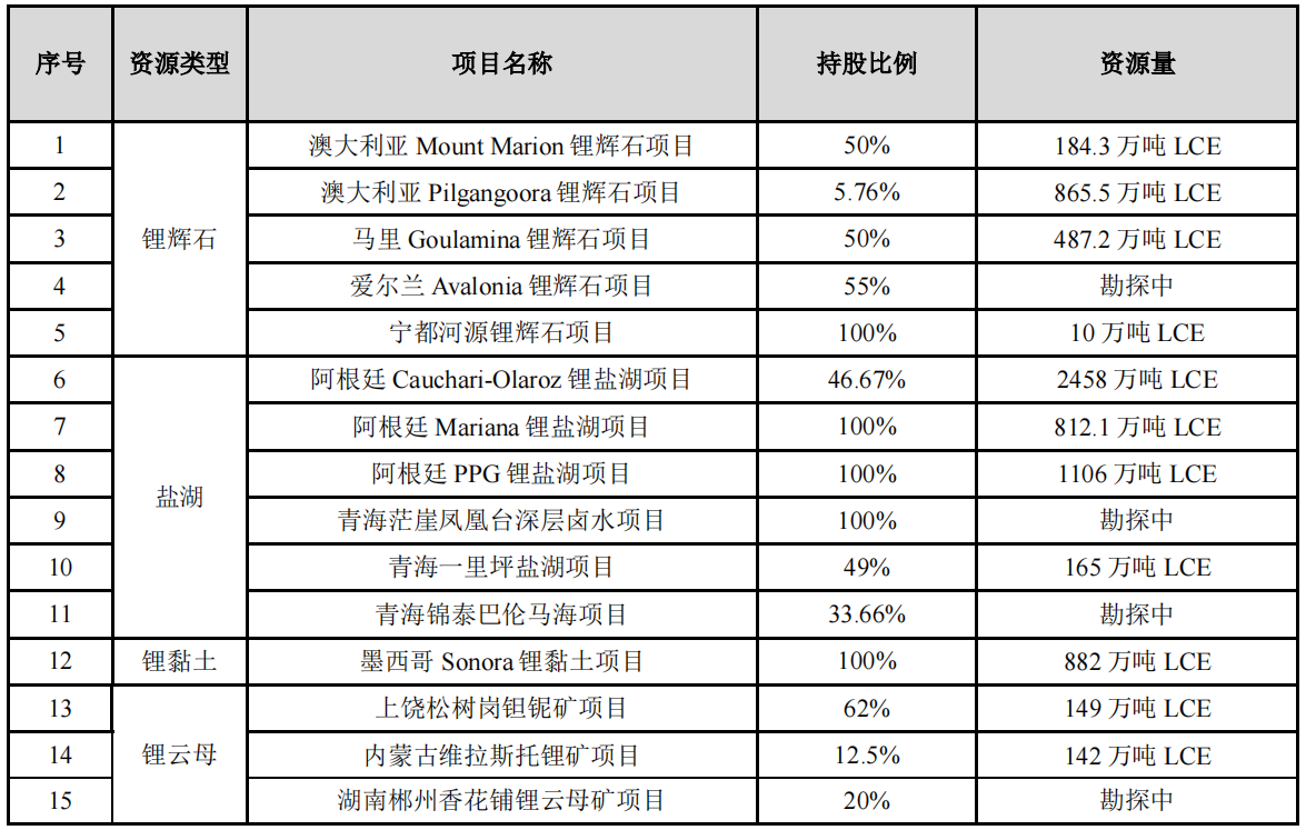 近500万吨！赣锋锂业“豪赌”锂矿！(图1)