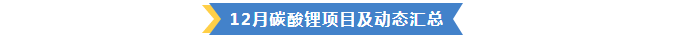 12月碳酸锂项目详解及分析(图4)