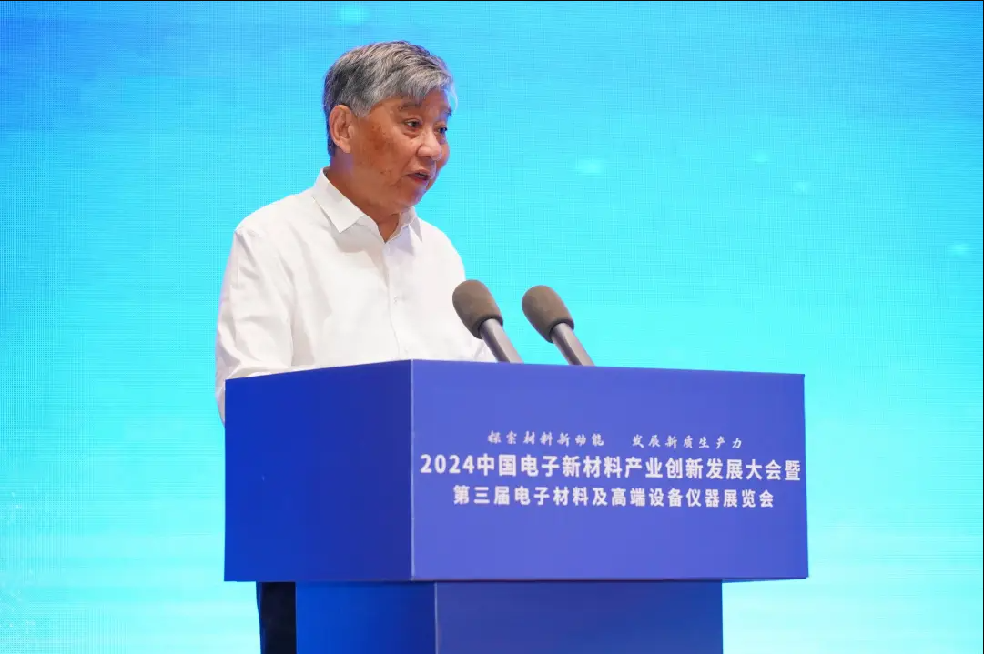 2024中国电子新材料产业创新发展(百色)大会暨中国固态电池产学研技术交流会顺利召开(图4)