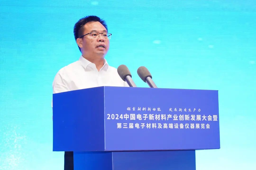 2024中国电子新材料产业创新发展(百色)大会暨中国固态电池产学研技术交流会顺利召开(图3)