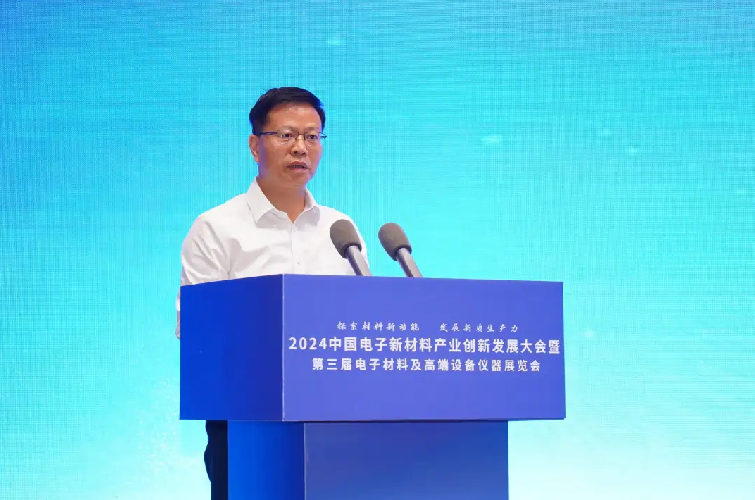2024中国电子新材料产业创新发展(百色)大会暨中国固态电池产学研技术交流会顺利召开(图5)