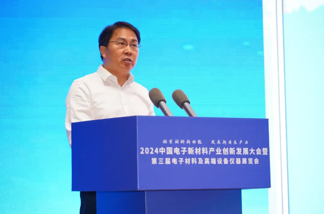 2024中国电子新材料产业创新发展(百色)大会暨中国固态电池产学研技术交流会顺利召开(图6)