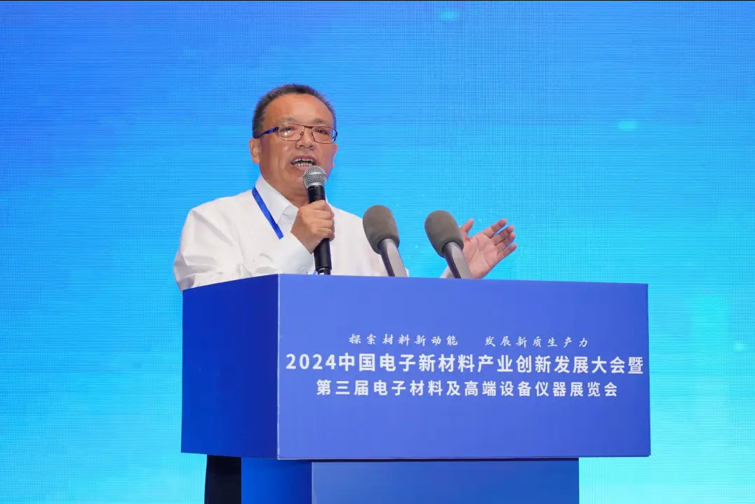 2024中国电子新材料产业创新发展(百色)大会暨中国固态电池产学研技术交流会顺利召开(图8)