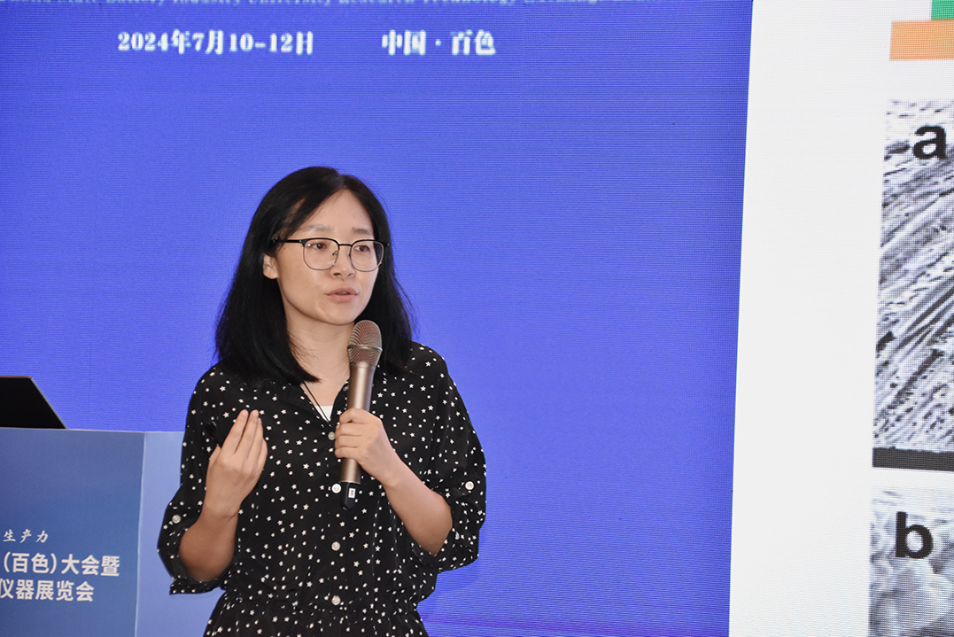 2024中国电子新材料产业创新发展(百色)大会暨中国固态电池产学研技术交流会顺利召开(图19)