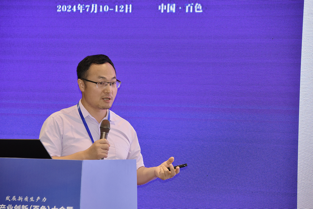 2024中国电子新材料产业创新发展(百色)大会暨中国固态电池产学研技术交流会顺利召开(图20)