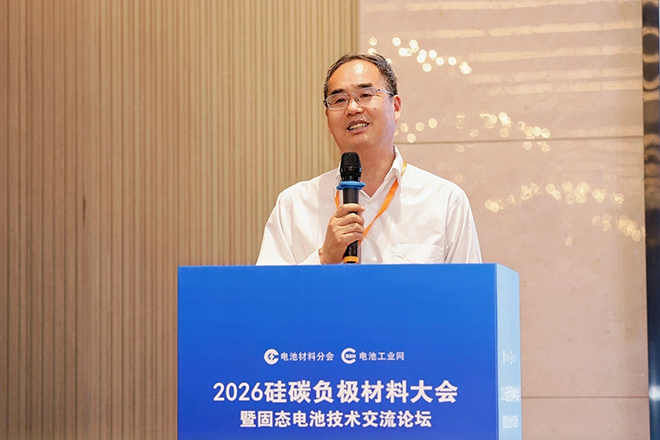 【演讲嘉宾】郑洪河 | 锂离子电池硅负极负极的关键问题分析与展望(图1)